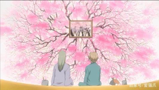 漫天飞舞的樱花！二次元最美的樱花都在这了！