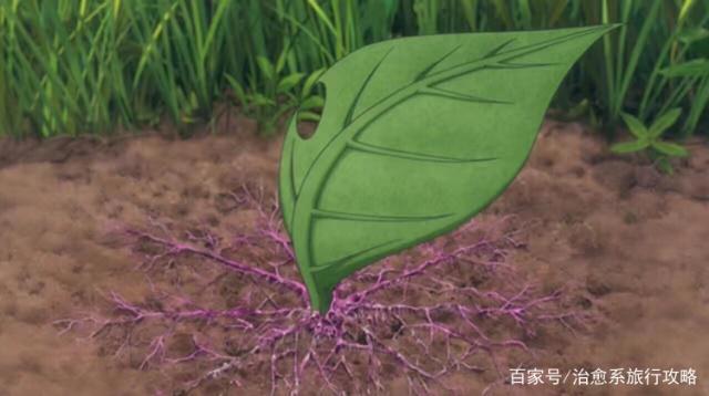 小编喜欢的动漫推荐，治愈系类的动漫大全清单哦，赶紧来看看吧？