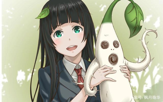 推荐五部超级治愈的日常类动漫，保证能让你疲惫的心灵得到治愈！