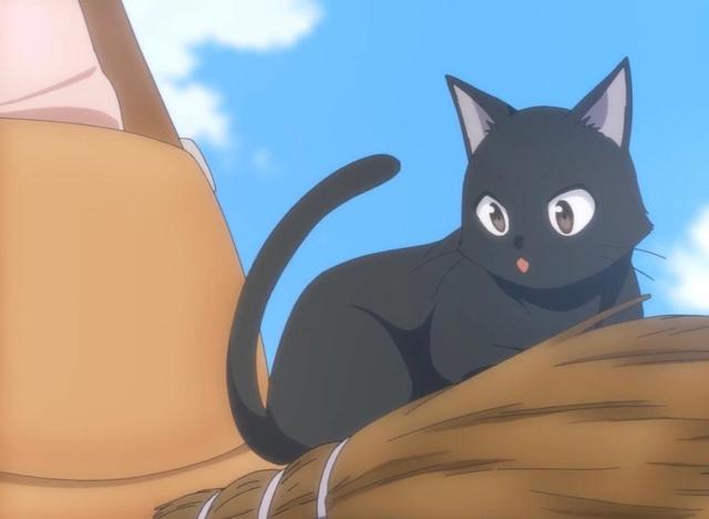 日漫之《飞翔的魔女》