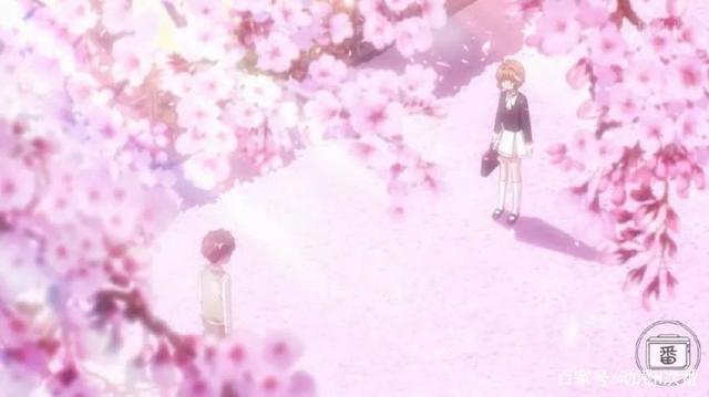 魔法少女未来究竟何去何从？从近年魔法少女沦为高危职业说起