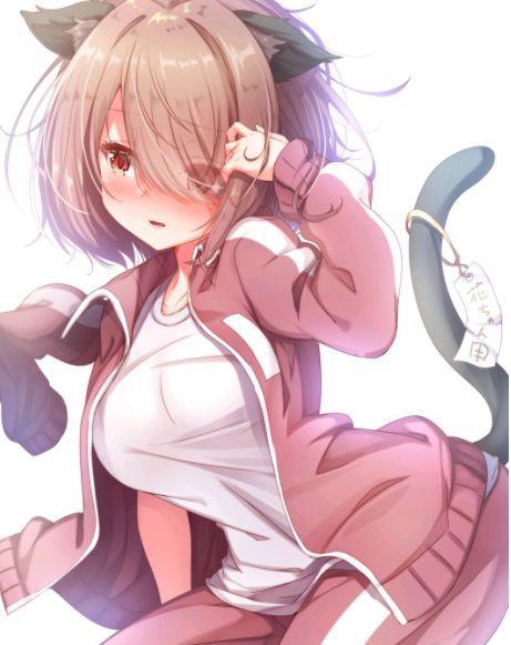 一个能打的都没有？动画大赏公布，《鬼灭之刃》强势登顶各个奖项