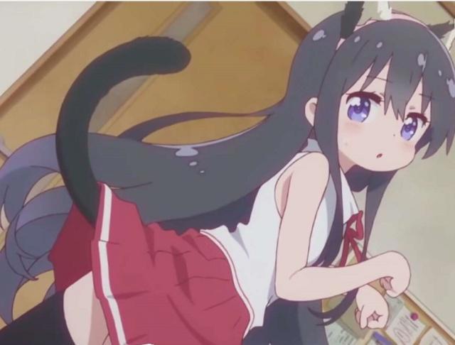 2019一月的这部新番，这几位萌妹子，有望成为宅男的新老婆