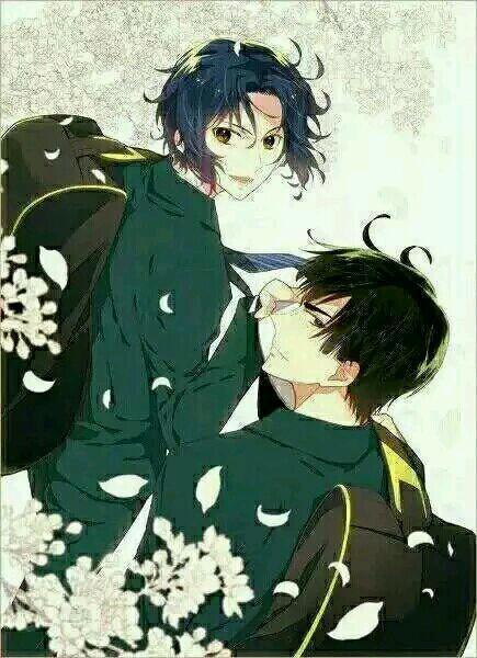 如果为《网球王子》中的网球部投票，你会投给哪一个学校的呢？