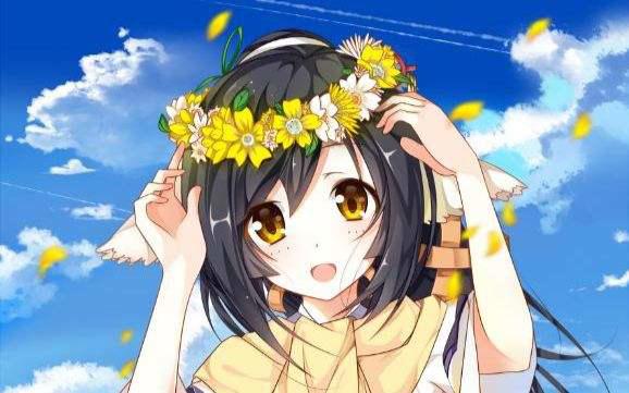 动漫：这些后宫番都看过？足见你对二次元是真爱！