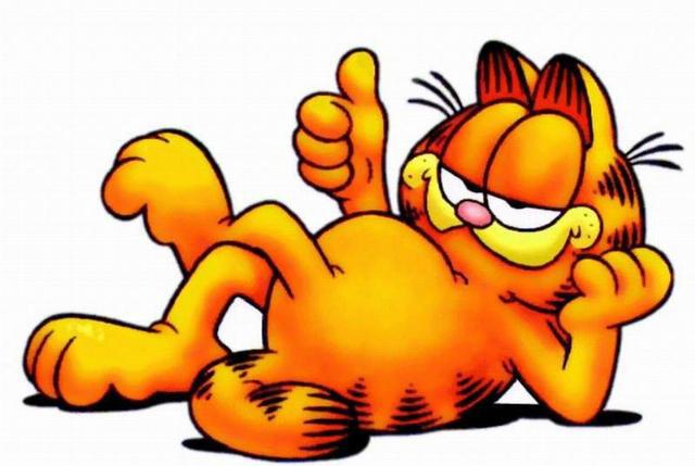 动漫中的七大名猫，又萌又皮！