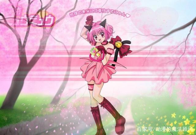 作为90后的你，有没有看过《东京猫猫》？变身的她们太可爱了