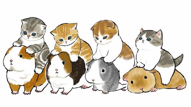 精选动漫猫咪美图，每张都“萌化了”，铲屎官：好可爱，我全要了