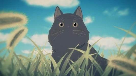 那些年我们看过的与猫有关的动漫，满满的回忆感