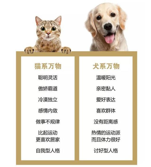 猫系女子VS犬系女子，你更喜哪一种？动漫猫系受欢迎，现实却相反