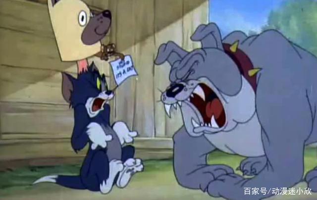 《猫和老鼠》：女主人没有露过脸？其实露过，女主人少露脸的原因