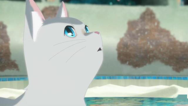 动漫《想哭的我戴上了猫的面具》：治愈背后的致郁，成年人才懂