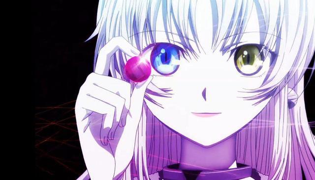 《k》：很多人不喜欢猫咪，但她的存在至关重要