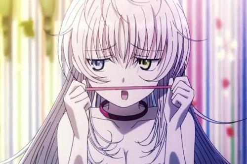 《k》：很多人不喜欢猫咪，但她的存在至关重要