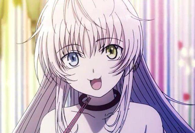 《k》：很多人不喜欢猫咪，但她的存在至关重要