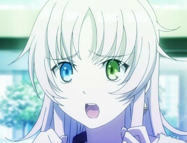 《k》：很多人不喜欢猫咪，但她的存在至关重要