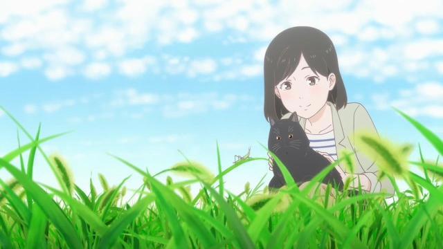 《她和她的猫》：生活中那些充满爱的瞬间，都带给人勇气与温暖！