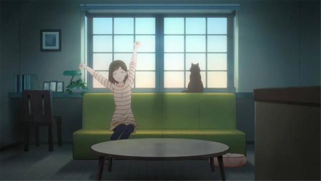 《她和她的猫》：生活中那些充满爱的瞬间，都带给人勇气与温暖！