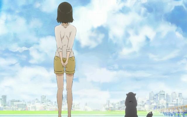 窥见新海诚的温柔，甜里掺杂着玻璃渣令人难过——《她与她的猫》