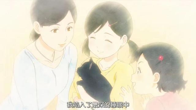 超温馨治愈短剧《她和她的猫》，在猫的眼里，你是怎样的存在呢！