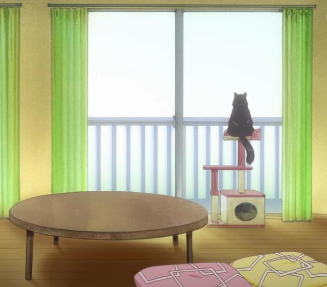 最长情的告白就是陪伴！她和她的猫，治愈也致郁！