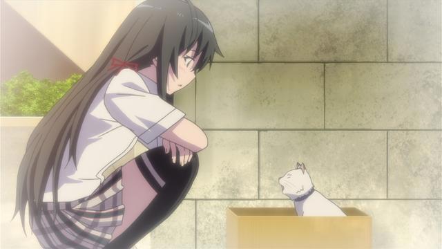 雪之下雪乃有多喜欢猫？这些地方都有体现