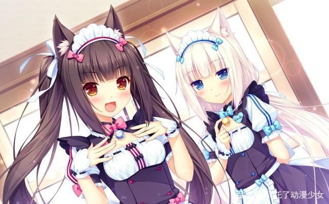 盘点那些关于猫咪的动漫，夏目有猫么？猫娘真的是猫！