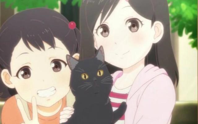 《她和她的猫》：猫和人的故事，带给我们怎样温情的感受？