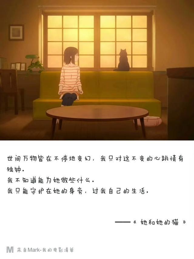 《她和她的猫》：猫和人的故事，带给我们怎样温情的感受？