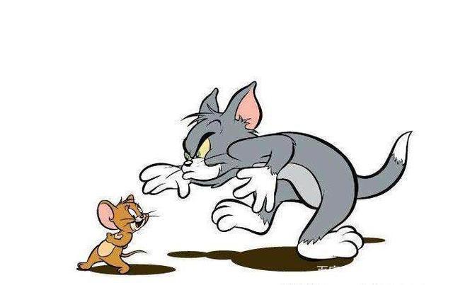 7部猫咪动漫，看过三部以上才是真铲屎官！