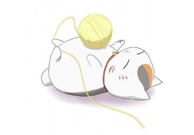 7部猫咪动漫，看过三部以上才是真铲屎官！