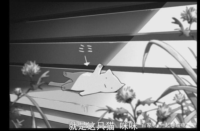 《她和她的猫》—初识新海诚，残酷的生活与美好的向往