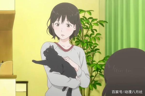 新海诚经典治愈神作《她和她的猫》，它的眼里你就是全世界