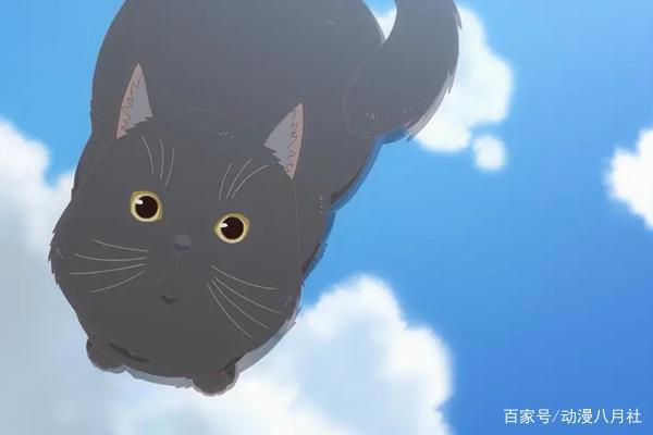 新海诚经典治愈神作《她和她的猫》，它的眼里你就是全世界