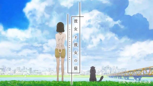 陪伴是最长情的告白，新海诚温馨巨作《她与她的猫》