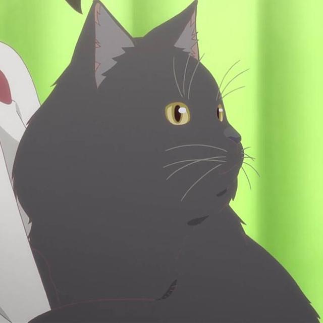 新海诚《她与她的猫》：点开看看，你是否有一只合自己心意的小猫