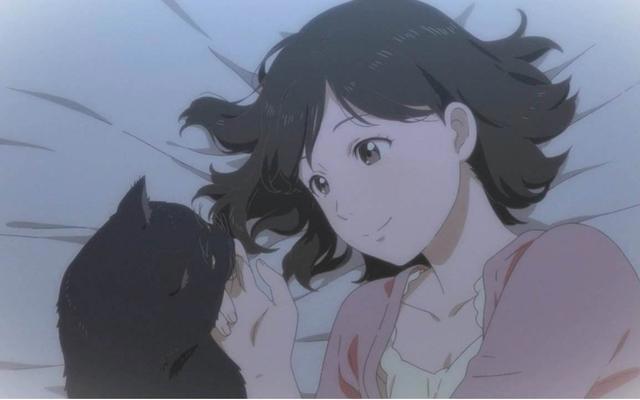 新海诚《她与她的猫》：点开看看，你是否有一只合自己心意的小猫