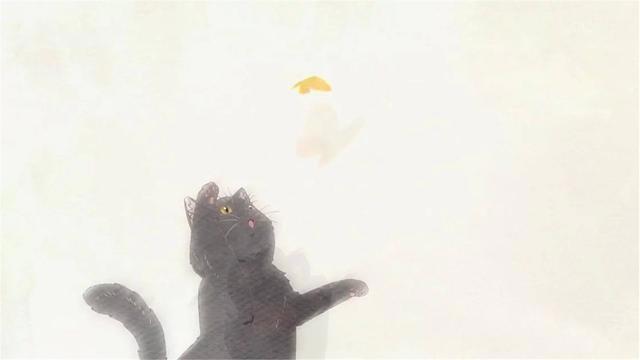 新海诚《她与她的猫》：点开看看，你是否有一只合自己心意的小猫