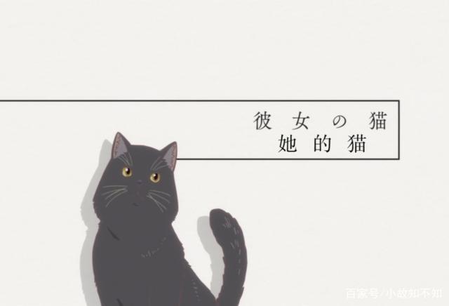 动画《她和她的猫》，时间交错的日子，是我最美好的回忆