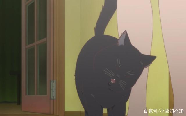 动画《她和她的猫》，时间交错的日子，是我最美好的回忆