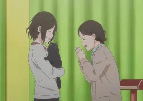 《她和她的猫》：一只猫咪的陪伴，治愈的同时充满了“爱”