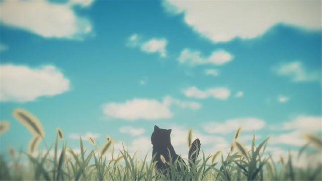 新海诚の动画作品：《她和她的猫》