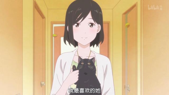 新海诚催泪杰作《她和她的猫》养猫之人的痛！