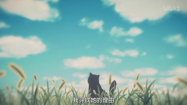 新海诚催泪杰作《她和她的猫》养猫之人的痛！