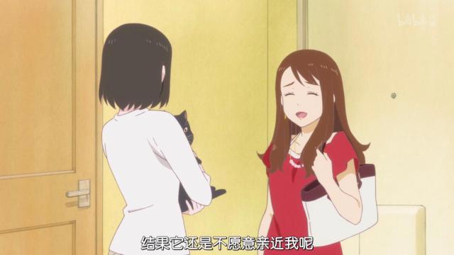 新海诚催泪杰作《她和她的猫》养猫之人的痛！