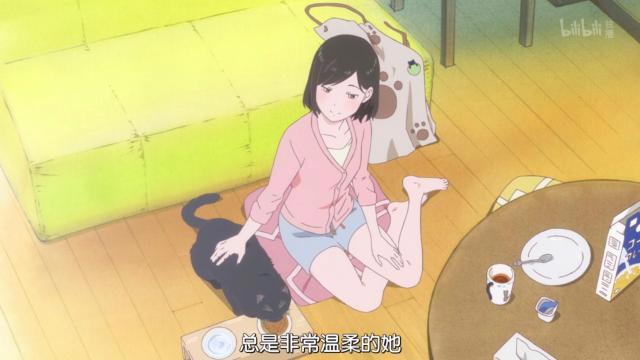 新海诚催泪杰作《她和她的猫》养猫之人的痛！