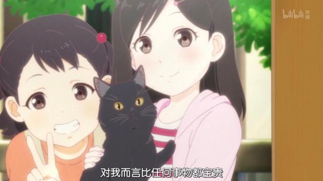 新海诚催泪杰作《她和她的猫》养猫之人的痛！