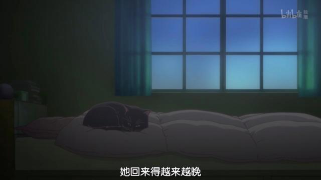 新海诚催泪杰作《她和她的猫》养猫之人的痛！