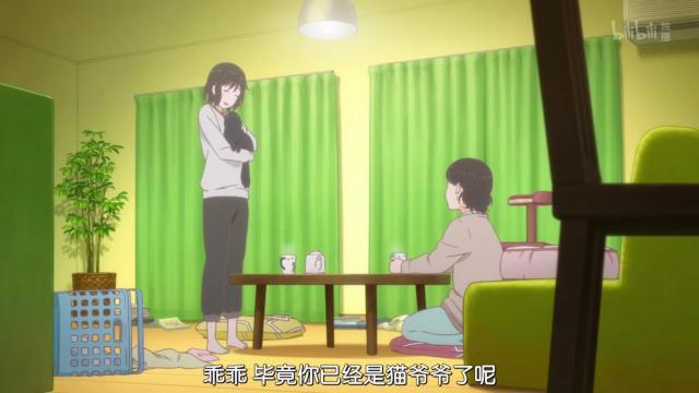 新海诚催泪杰作《她和她的猫》养猫之人的痛！