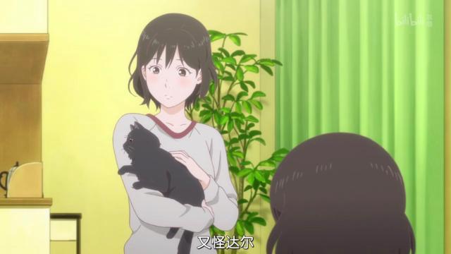 新海诚催泪杰作《她和她的猫》养猫之人的痛！